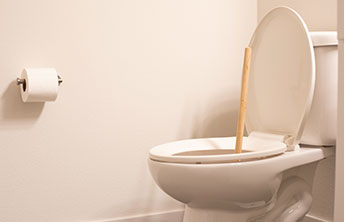 Professional Plumbers